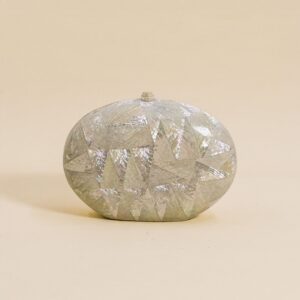 Abalone Shell Clutch Bag