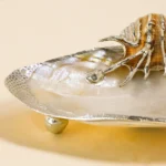 Brown Shell