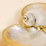Round Shell