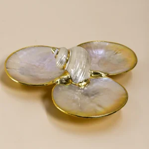 Mother of Pearl Triple Shell