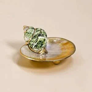 MOP Single Shell Plate