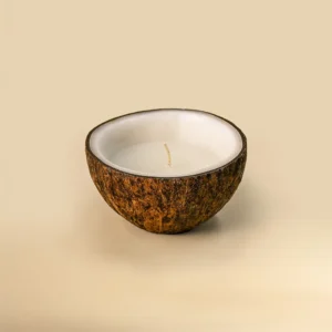 Coco Shell Candle