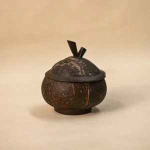 Coconut Container