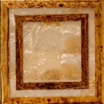 Square Fresh Water Shell
